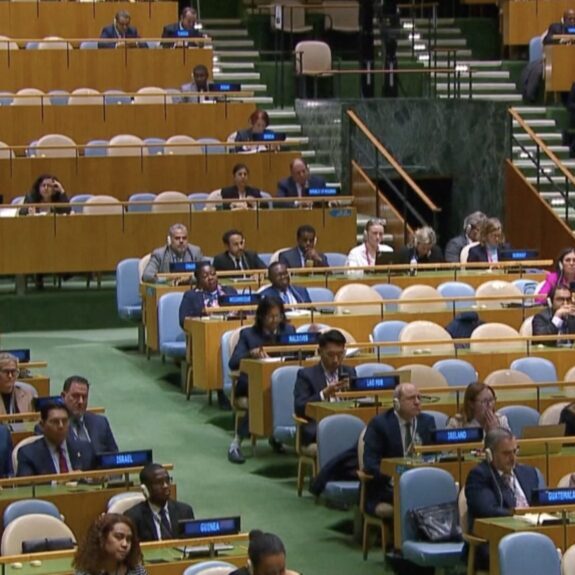 Voting in the UN General Assembly (Screenshot)